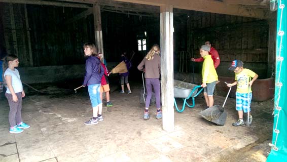 Stall putzen